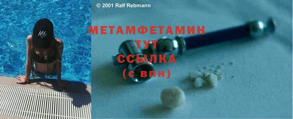 прущие грибы Медвежьегорск