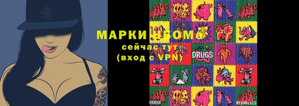 прущие грибы Медвежьегорск