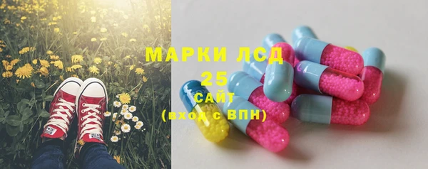 гашик Майский