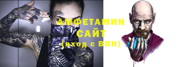 прущие грибы Медвежьегорск