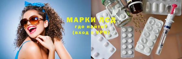 прущие грибы Медвежьегорск