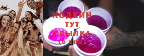 прущие грибы Медвежьегорск