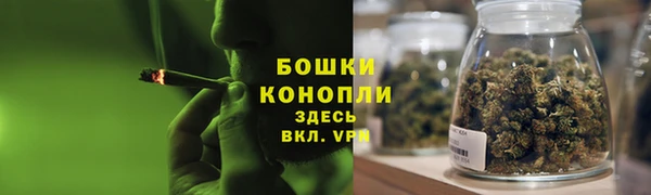 прущие грибы Медвежьегорск